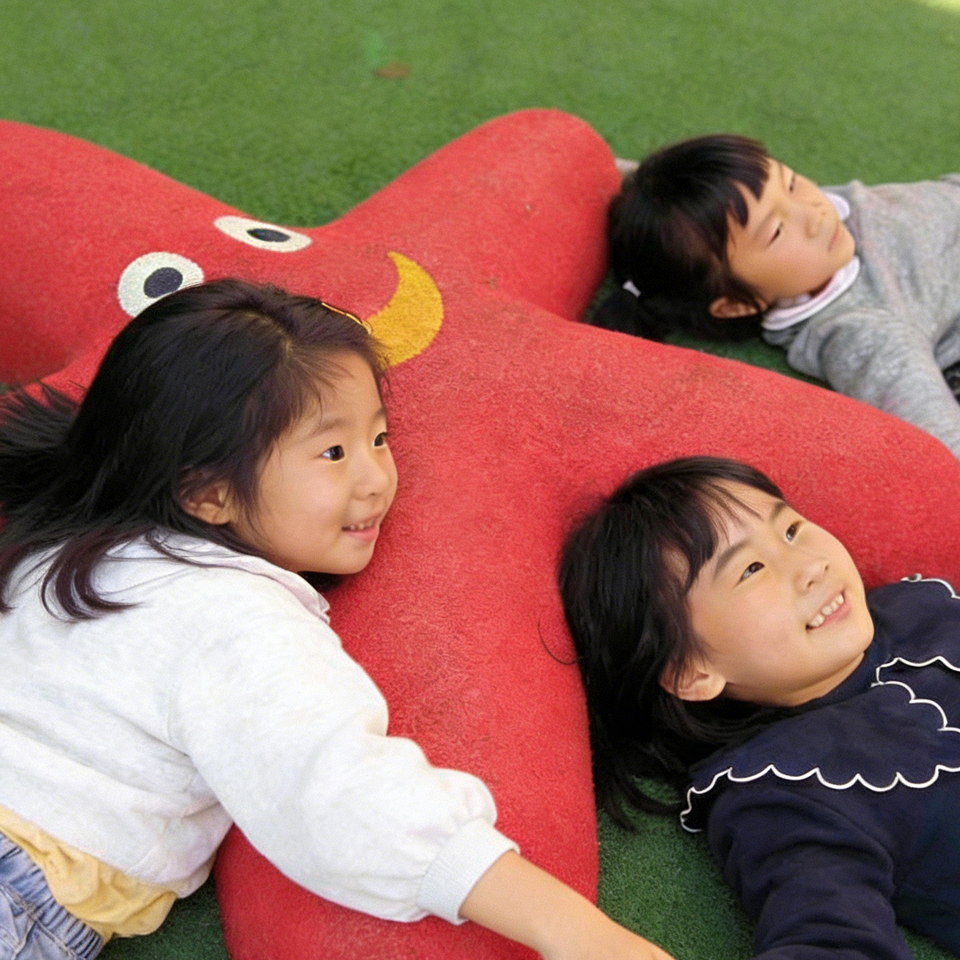 MOUNTSHIP 2D/3D EPDM Play Systems